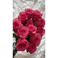 Bouquet of 11 pink roses
